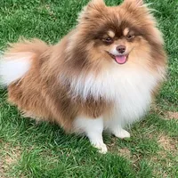 processed/ab9ad9db-4dad-4ab9-9670-65c0f6f79d9a/facility/17f1c272-3edf-42b7-a26e-0a083cb1e863