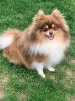 processed/ab9ad9db-4dad-4ab9-9670-65c0f6f79d9a/facility/17f1c272-3edf-42b7-a26e-0a083cb1e863