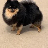 processed/ab9ad9db-4dad-4ab9-9670-65c0f6f79d9a/facility/e7242980-75c6-40be-bb5e-5976cb7e6f86