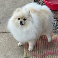 processed/ab9ad9db-4dad-4ab9-9670-65c0f6f79d9a/facility/f0c721c7-9b26-49d5-969a-d0db5094fb7c