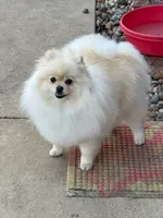 processed/ab9ad9db-4dad-4ab9-9670-65c0f6f79d9a/facility/f0c721c7-9b26-49d5-969a-d0db5094fb7c