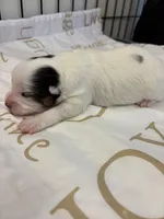 processed/ab9ad9db-4dad-4ab9-9670-65c0f6f79d9a/listing/092559a2-e6d1-4ee7-9599-91dabbb49f8d/1a17ffc0-9685-4871-8481-3a6803c65def