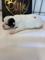 processed/ab9ad9db-4dad-4ab9-9670-65c0f6f79d9a/listing/092559a2-e6d1-4ee7-9599-91dabbb49f8d/473820b6-f090-4606-96d7-6bbfafe99e39