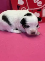 processed/ab9ad9db-4dad-4ab9-9670-65c0f6f79d9a/listing/092559a2-e6d1-4ee7-9599-91dabbb49f8d/4c5de12c-a4da-4283-b83d-82073fc20c7b