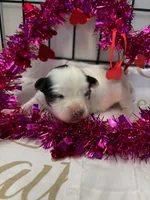 processed/ab9ad9db-4dad-4ab9-9670-65c0f6f79d9a/listing/092559a2-e6d1-4ee7-9599-91dabbb49f8d/7de1ce5b-106c-4116-bf24-f0b2ae7501ce