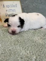 processed/ab9ad9db-4dad-4ab9-9670-65c0f6f79d9a/listing/092559a2-e6d1-4ee7-9599-91dabbb49f8d/a1c91de8-2db4-42fe-8a54-b6d1e464dfd6