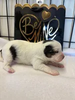 processed/ab9ad9db-4dad-4ab9-9670-65c0f6f79d9a/listing/092559a2-e6d1-4ee7-9599-91dabbb49f8d/f67e0960-2315-4faf-a51b-caa2bae98a67