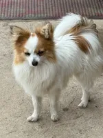 processed/ab9ad9db-4dad-4ab9-9670-65c0f6f79d9a/listing/8e414d86-d81b-4a90-8824-289a127f9722/35e73ca0-e7a1-4cd6-bff9-a40f55574894