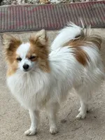 processed/ab9ad9db-4dad-4ab9-9670-65c0f6f79d9a/listing/8e414d86-d81b-4a90-8824-289a127f9722/825a3a11-159c-4033-8c7b-54630bbd9f17