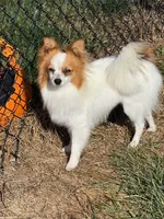 processed/ab9ad9db-4dad-4ab9-9670-65c0f6f79d9a/listing/8e414d86-d81b-4a90-8824-289a127f9722/8fe14cc2-3b7c-4f94-a618-c33ab4e9a0fc