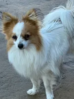 processed/ab9ad9db-4dad-4ab9-9670-65c0f6f79d9a/listing/8e414d86-d81b-4a90-8824-289a127f9722/d9497ded-5274-4b0d-96ee-1cd3885fd1ed