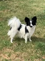 processed/ab9ad9db-4dad-4ab9-9670-65c0f6f79d9a/listing/ffa10c7c-2b53-47bb-a178-c13efd06c9c7/7e7b7797-a8b4-4f70-b789-de3a8bad49a5