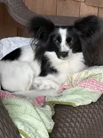 processed/ab9ad9db-4dad-4ab9-9670-65c0f6f79d9a/listing/ffa10c7c-2b53-47bb-a178-c13efd06c9c7/b50f749e-c5da-4db3-b8ae-45356c067340