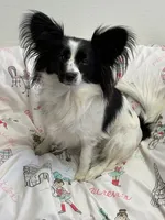 processed/ab9ad9db-4dad-4ab9-9670-65c0f6f79d9a/listing/ffa10c7c-2b53-47bb-a178-c13efd06c9c7/de64e93e-b971-4039-bcb4-ac396004e0b9