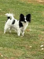 processed/ab9ad9db-4dad-4ab9-9670-65c0f6f79d9a/listing/ffa10c7c-2b53-47bb-a178-c13efd06c9c7/ebb4b154-c0f8-4712-914d-34dd0b19966e