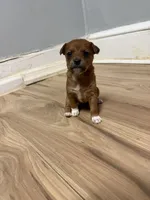 processed/ab9de713-aa9e-4797-be31-81ba825682da/listing/5ba0a5ab-57fd-4715-b261-4c078e82ca5a/6bbd5a78-a8a2-4193-b1ee-10fb764f6afd