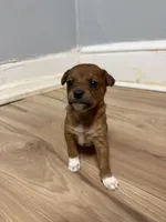 processed/ab9de713-aa9e-4797-be31-81ba825682da/listing/5ba0a5ab-57fd-4715-b261-4c078e82ca5a/ceeb5758-1fc3-4181-bff2-dd86d8c2ffe7