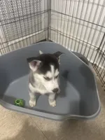 processed/abaa2228-1a0f-4a45-8388-d50afe1a1b6b/listing/751479d3-1436-4f78-af5e-38dc1359a87e/9accd10b-5889-4d4f-a553-3491f42ea967