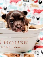 processed/abbf697a-50ad-4019-9d1d-f30a17b345f5/facility/01f2a17e-737d-40ac-b012-312644a063af