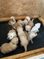 processed/abc4116a-d888-4bc3-b2dd-5cdc190c157d/facility/cc9eda35-32f4-4c30-8fb1-b898130b35da