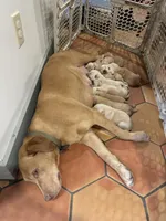 processed/abc4116a-d888-4bc3-b2dd-5cdc190c157d/facility/ffe315db-c89f-4523-a225-1c1f7886e293