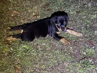 processed/abc4a99f-5ada-4189-bf1c-828f082de8f8/listing/05627c45-c7ba-4b06-9959-b3f46fb08522/9205579e-ec9c-4117-ab7e-537b1aec8930