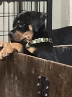 processed/abc4a99f-5ada-4189-bf1c-828f082de8f8/listing/05627c45-c7ba-4b06-9959-b3f46fb08522/b0944b37-da4f-4879-8716-af04cfb8b875