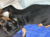 processed/abc4a99f-5ada-4189-bf1c-828f082de8f8/listing/05627c45-c7ba-4b06-9959-b3f46fb08522/ecdf9662-6116-4b31-b632-b29e07efeb1a