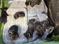 processed/abc4a99f-5ada-4189-bf1c-828f082de8f8/listing/56564097-6966-46c8-9e71-bc70a9656c73/50ede810-4638-4ea4-a1a8-4904bd131ec6