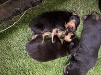 processed/abc4a99f-5ada-4189-bf1c-828f082de8f8/listing/56564097-6966-46c8-9e71-bc70a9656c73/7ad6a839-3c36-40ba-bec0-224669a46787