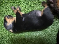 processed/abc4a99f-5ada-4189-bf1c-828f082de8f8/listing/56564097-6966-46c8-9e71-bc70a9656c73/82b0cbea-ec4e-4e7a-8a11-e16b29ca43f7