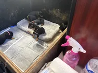 processed/abc4a99f-5ada-4189-bf1c-828f082de8f8/listing/56564097-6966-46c8-9e71-bc70a9656c73/b217a508-761c-4218-9faf-d24a758a7512