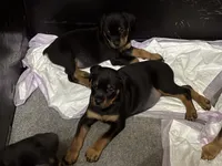 processed/abc4a99f-5ada-4189-bf1c-828f082de8f8/listing/56564097-6966-46c8-9e71-bc70a9656c73/f156614f-a81c-4fdc-a105-b503b449a574