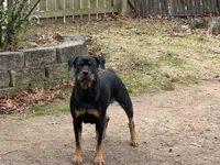 processed/abc4a99f-5ada-4189-bf1c-828f082de8f8/listing/56564097-6966-46c8-9e71-bc70a9656c73/fe69a724-412c-4cd9-96ce-ed6d734717e4