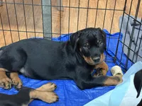 processed/abc4a99f-5ada-4189-bf1c-828f082de8f8/listing/6cc88265-d42a-4367-a5ff-5d0902c3c196/8a215e33-beeb-4d8b-925f-2d9e6d7e74d9