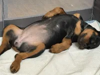 processed/abc4a99f-5ada-4189-bf1c-828f082de8f8/listing/6cc88265-d42a-4367-a5ff-5d0902c3c196/b5b0c8d3-940b-44f4-aceb-504662d5edcd