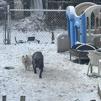 processed/abc4b14d-0a65-48f1-877f-53c5602760ac/facility/0dcfc421-e28a-4a68-ba38-acda4e82f1e0