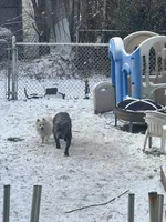 processed/abc4b14d-0a65-48f1-877f-53c5602760ac/facility/0dcfc421-e28a-4a68-ba38-acda4e82f1e0