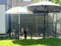 processed/abc4b14d-0a65-48f1-877f-53c5602760ac/facility/65566ae8-19db-47f8-8166-74ad561540a4