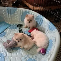 processed/abc4b14d-0a65-48f1-877f-53c5602760ac/facility/d6ea4536-55a4-42f3-a1e0-47aa38b7e6bd