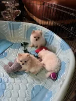 processed/abc4b14d-0a65-48f1-877f-53c5602760ac/facility/d6ea4536-55a4-42f3-a1e0-47aa38b7e6bd