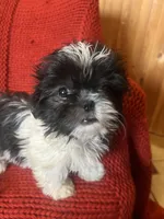 processed/abc4b14d-0a65-48f1-877f-53c5602760ac/listing/deb39e57-ceff-43fc-ab1b-b0391f43a566/02263fba-ad1f-47c1-af8f-c70638426b29