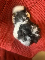 processed/abc4b14d-0a65-48f1-877f-53c5602760ac/listing/deb39e57-ceff-43fc-ab1b-b0391f43a566/29e52717-864a-425a-b0d9-87fce3360264