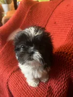 processed/abc4b14d-0a65-48f1-877f-53c5602760ac/listing/deb39e57-ceff-43fc-ab1b-b0391f43a566/83dd747f-bfea-4ec8-a9aa-67db763c1aea