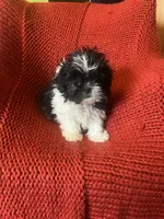 processed/abc4b14d-0a65-48f1-877f-53c5602760ac/listing/deb39e57-ceff-43fc-ab1b-b0391f43a566/8ccd9570-c437-46bb-ab1b-64e18c78f009