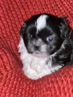 processed/abc4b14d-0a65-48f1-877f-53c5602760ac/listing/deb39e57-ceff-43fc-ab1b-b0391f43a566/8f37afdf-cb7e-4466-9234-d8d9917949f0