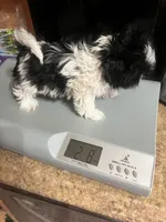 processed/abc4b14d-0a65-48f1-877f-53c5602760ac/listing/deb39e57-ceff-43fc-ab1b-b0391f43a566/9d77d300-9724-4db9-bd74-17930ce7fb88