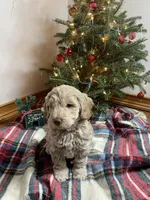 processed/abc93c02-9640-47c2-babc-aae6e418351c/listing/8385cbac-65b8-4c1c-845e-51fef047fb47/30c5f359-6bcc-4262-9e7b-b0520c5c6f13