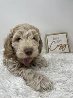 processed/abc93c02-9640-47c2-babc-aae6e418351c/listing/8385cbac-65b8-4c1c-845e-51fef047fb47/d6fc5d96-e965-4f1a-ba41-78a5a19f8219