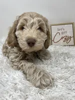 processed/abc93c02-9640-47c2-babc-aae6e418351c/listing/8385cbac-65b8-4c1c-845e-51fef047fb47/db6ece07-3804-4b09-9090-4639885d3917